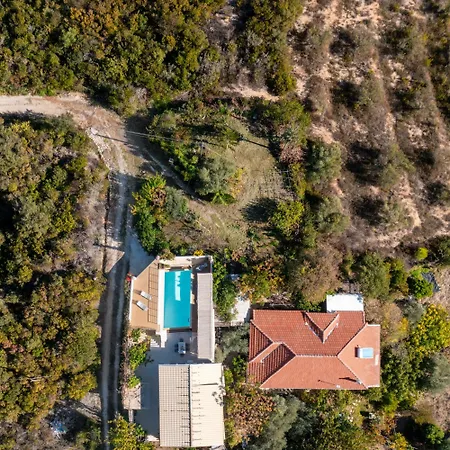 Maneas Exclusive New Luxury 니키아나