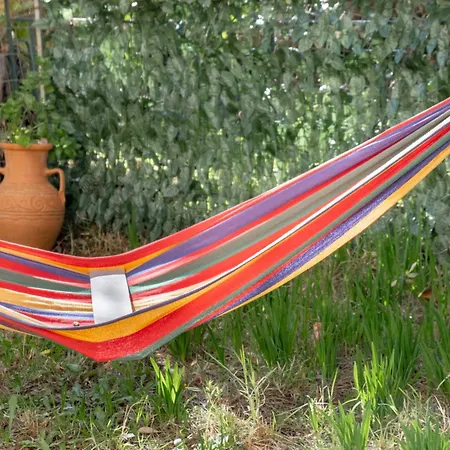 Maneas Exclusive New Luxury * 니키아나